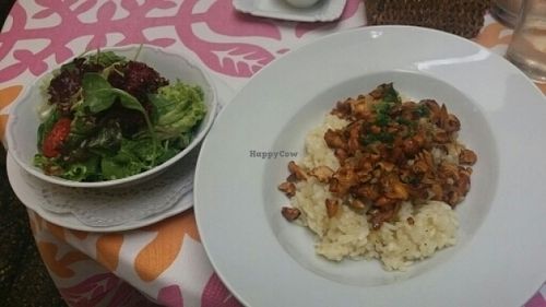 girolle risotto at Kaufmann Kaufmann in Villach