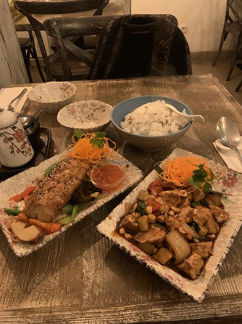 Vegan duck, vegan chicken and rice  at Tianfuzius in Berlin