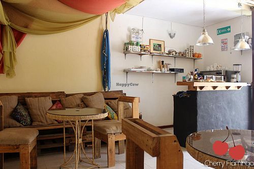 United Falafel Organization at United Falafel Organization in Vilcabamba