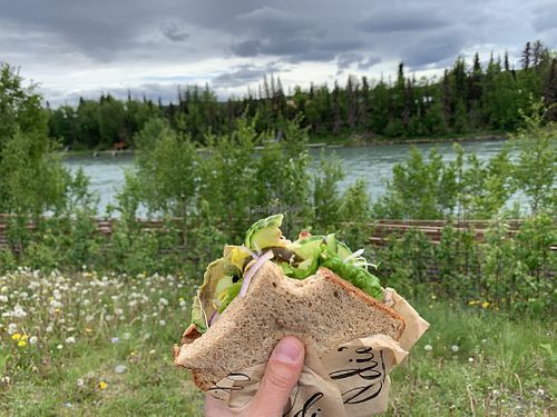 Perfect for a picnic at Odie's Deli in Soldotna