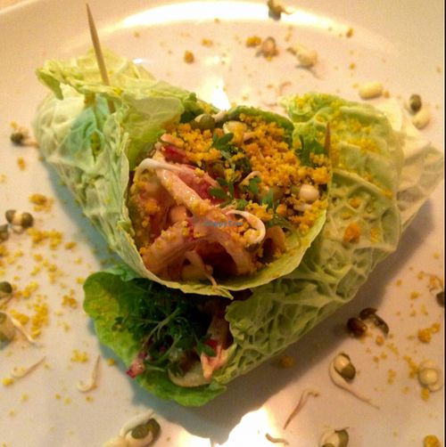 Raw vegan spring rolls in cabbage leaves at Plevel - Jindrisska in Prague