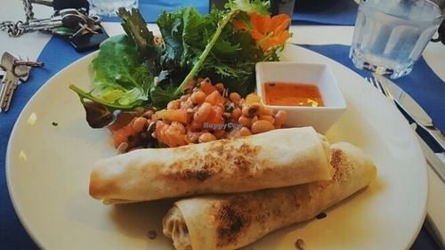 lupin at Lupin Restaurante Vegetariano in Porto