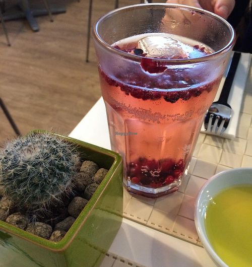 Lupin at Lupin Restaurante Vegetariano in Porto