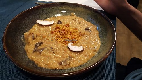 Risotto at Lupin Restaurante Vegetariano in Porto