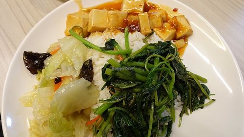 rice with spinach, tofu and cabbage at Foy Yin Vegetarian 佛音素食 in Central Singapore