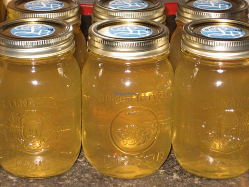 kombucha at Breathe Live Believe Whole Foods Vegan in Thunder Bay