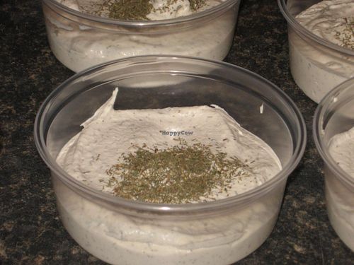 Fermented Dill Cashew Cheese at Breathe Live Believe Whole Foods Vegan in Thunder Bay