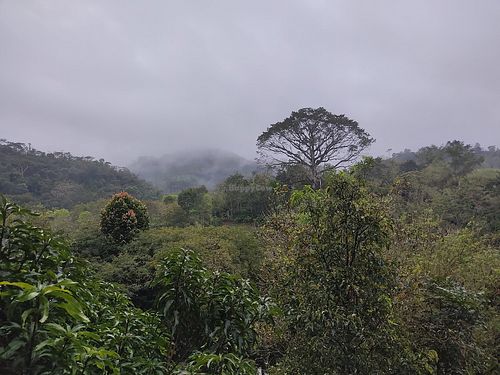 Amazing views! at Utopia Eco Hotel in Semuc Champey