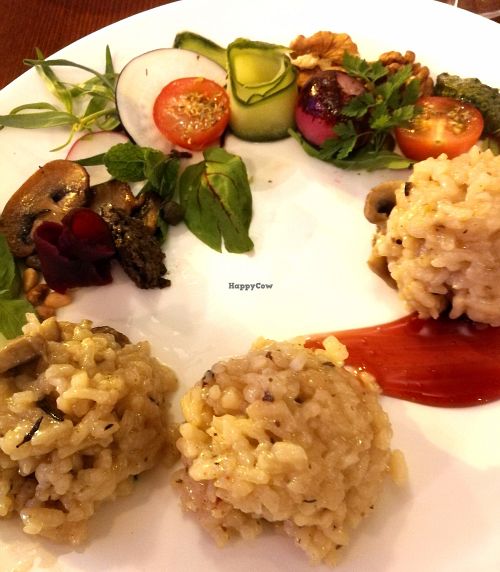 Hortus.  at Hortus in The Hague