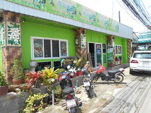 Ban Chlorophyll Salad and Vegetarian  at Ban Chlorophyll in Pattaya