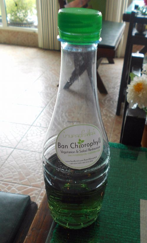 Ban Chlorophyll Salad and Vegetarian  at Ban Chlorophyll in Pattaya