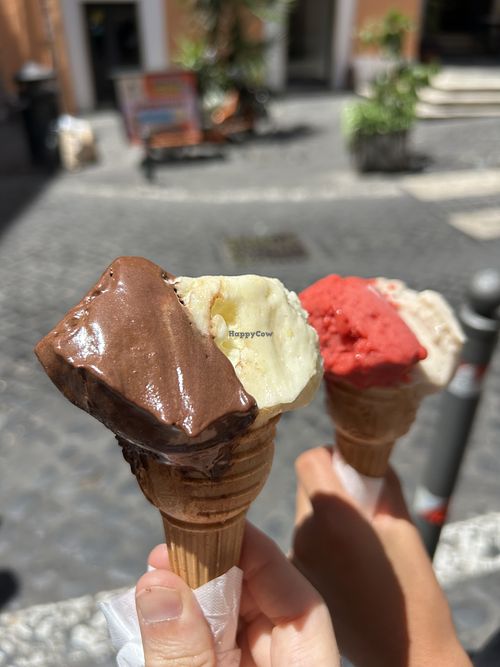 More than 6 choices of Vegan Gelato!  at Gelateria dell Angeletto in Rome