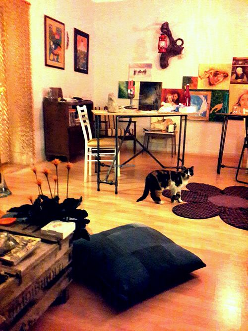  at Vegisso Ankara in Ankara