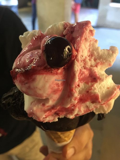 Amarena cherry variegato and dark chocolate gelato  at Gelatoteca SuSo in Venice