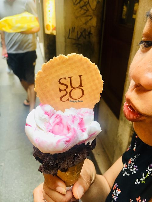 Amazing Vegan Gelato!!!!!! at Gelatoteca SuSo in Venice