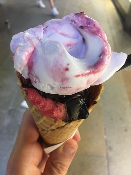 Rice cream and amarena, and raspberry and chocolate cream gelato (vegan) at Gelatoteca SuSo in Venice