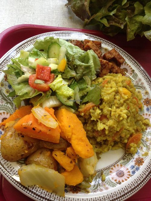 catering service  at Lotus Catering in Amsterdam