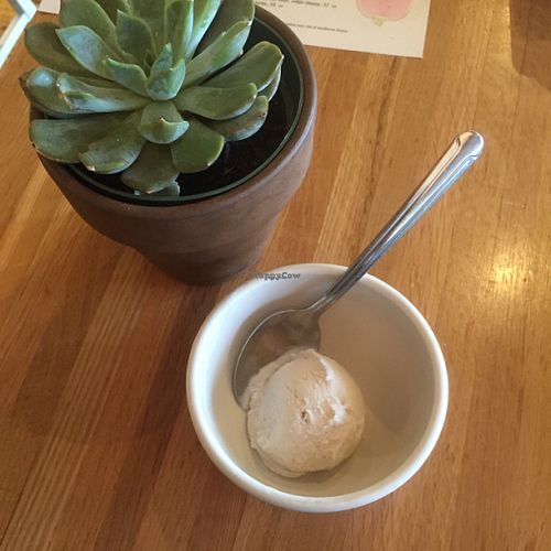 vegan vanilla ice cream at True Food Kitchen in Atlanta