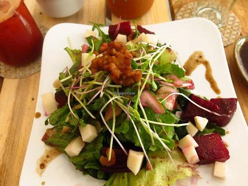 Backyard Beets Salad with activated Tamari Walnuts at Backyard Cafe - Riverside in Phnom Penh