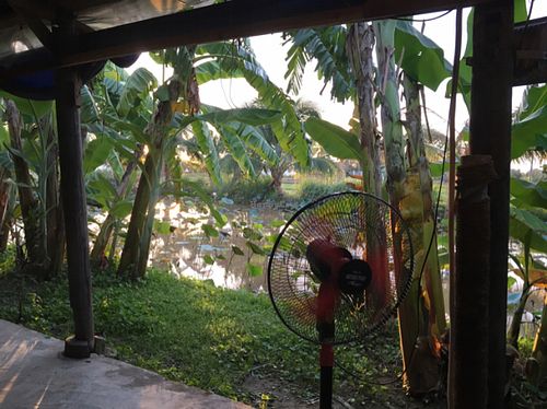 view from our table  at Sen Thien Quan in Nha Trang