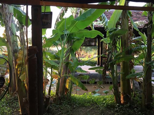 surroundings  at Sen Thien Quan in Nha Trang