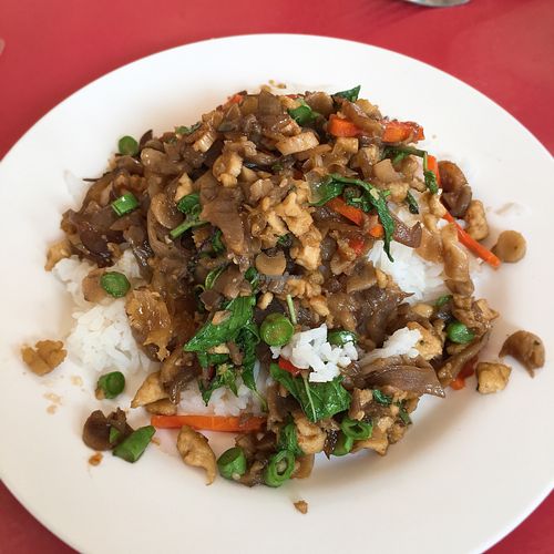 Steamed rice w stir-fried mushrooms & thai holy basil 👌 at Vegetarian Food - Maenamkwai Rd in Kanchanaburi