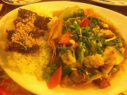 Veg & rice with tofu and wan tan. Was ok. at Chay Viet in Dresden