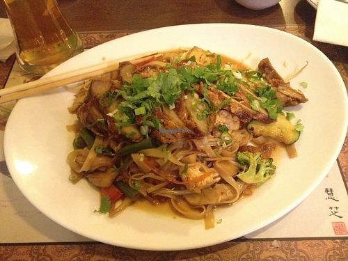 Vegan duck with noodles! at Chay Viet in Dresden