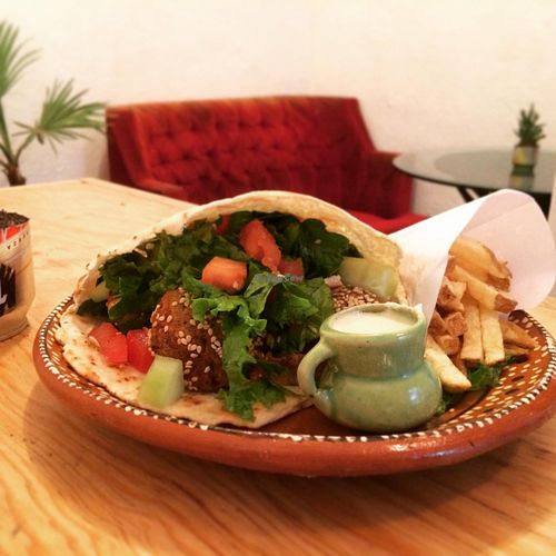 Amazing Falafel!!!!! at Kalpoli Margarita in Mexico City