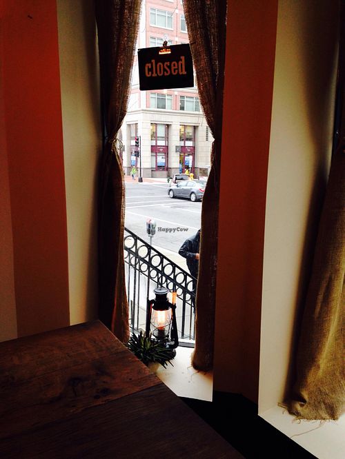 Window view at District Tea Lodge in Washington