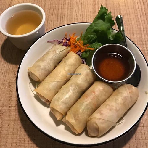 egg rolls at Vegan House in Phoenix