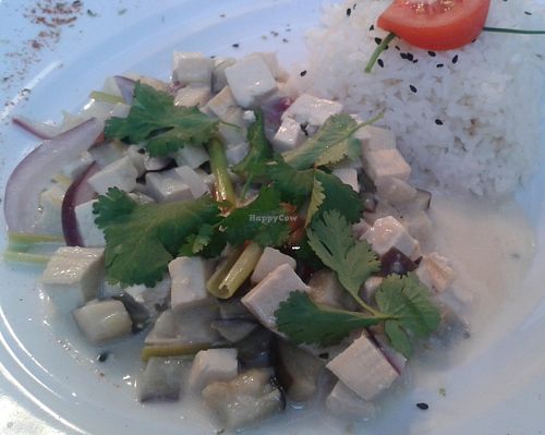 Thai eggplant with rice at Green Spirit in Prague