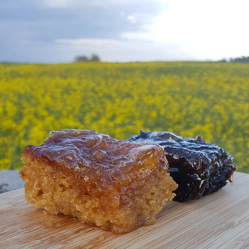 Marmalade cake (left) and ginger cake (right) which we had to take away at The Cornerhouse Cafe in Berwick-upon-tweed