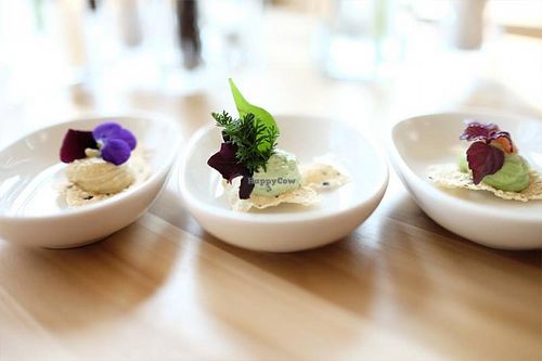 . at Prinz Myshkin Garden  in Munich