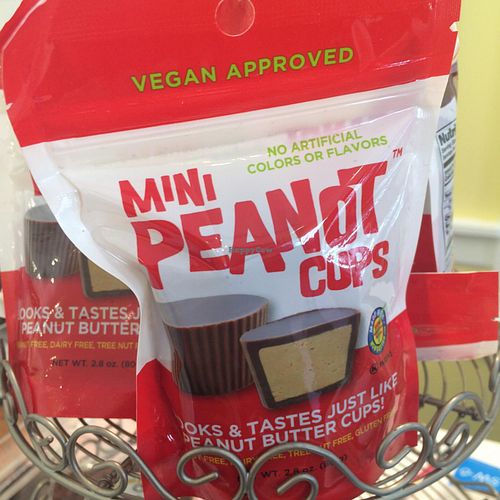 PB at Cake Gypsy in Canton