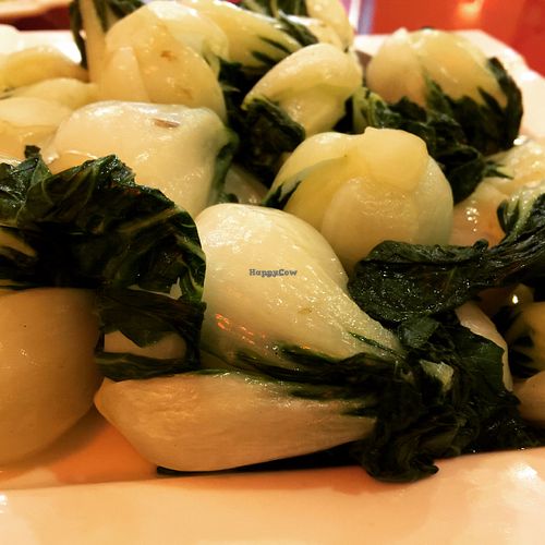 baby bok choy at Bodhi Kosher Vegetarian Restaurant in New York City