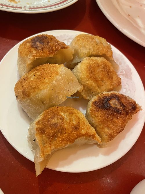 Veg dumplings   at Bodhi Kosher Vegetarian Restaurant in New York City
