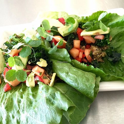 Tropical Phish Tacos at Pulp + Sprout Juice Bar and Vegan Cafe in Asheville