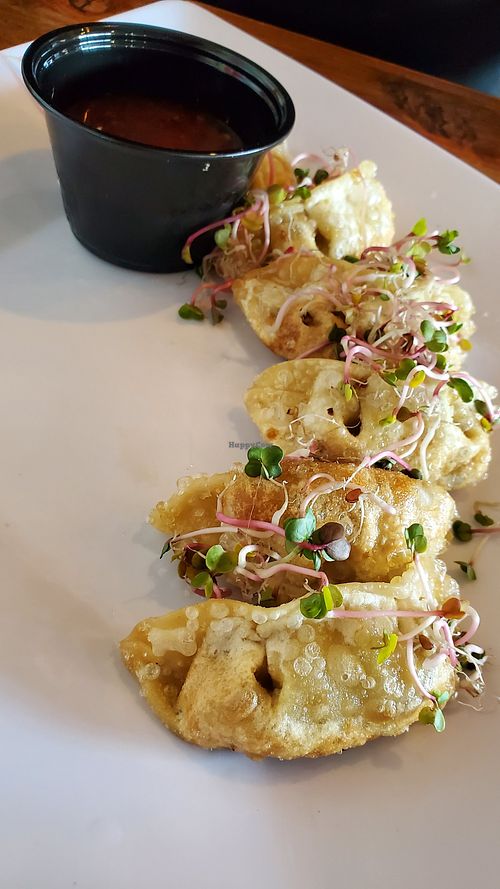 Gyoza at VegeNation in Las Vegas