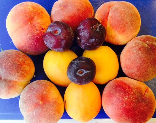 Eco fruit from Croatia at Zelena in Pula