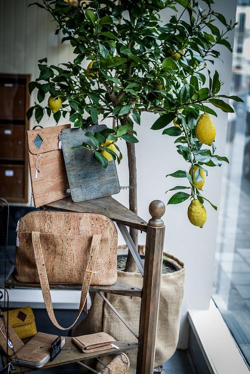 We also sell accessories in cork (bags, jewels, wallets, tablets case,…) at Vegasme in Brussels