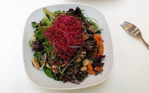 Salad of the day at FOAM in The Hague