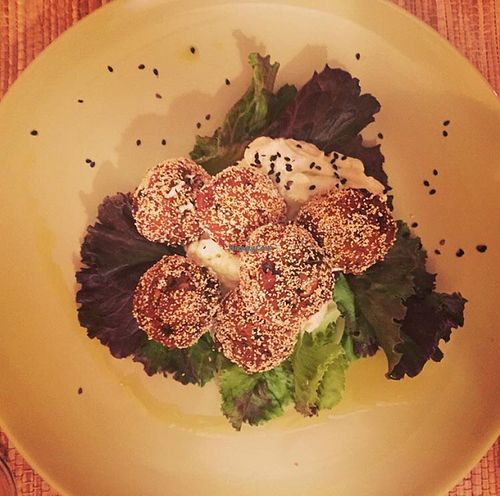 polpette at Pasta Madre in Grosseto