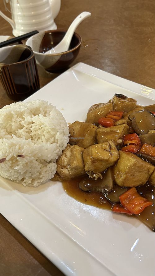 Tofu and veggies!  at Fuyue Xianju Vegetarian Restaurant in Macau