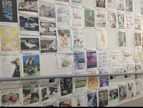 The wall of shame - beautiful images at Cultura de club in Girona