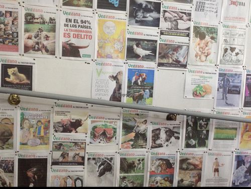 vegan imagery at Cultura de club in Girona