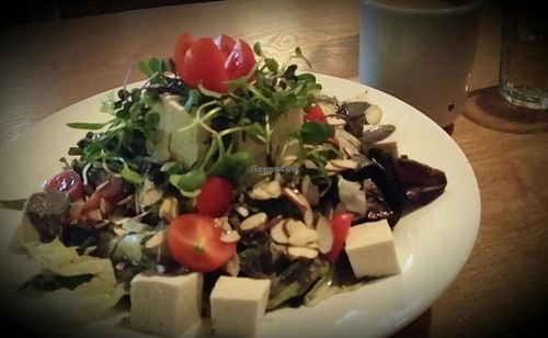 Tofu salad - very nice and clearly quite large at Slobbie in Seoul