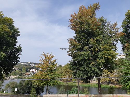  at Bar do Girassol in Amarante