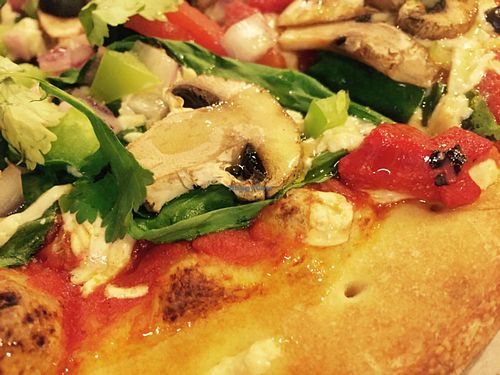 perfect crust at Pizza Artista in Lafayette