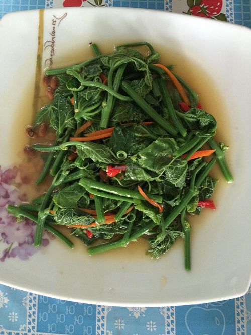 Chayote at Qun Gengyuan in Chiang Mai